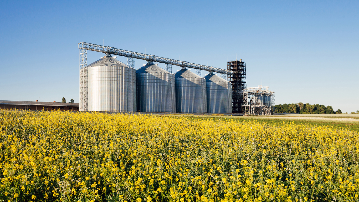Imagen de plantas silo con cielo despejado en el fondo